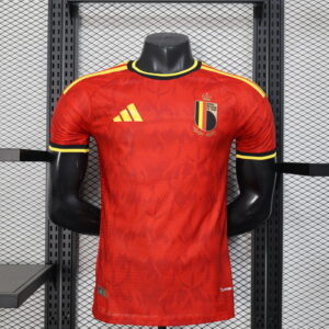 [Player Version]Belgium national football team home in the 2025-26 season